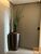 Cobertura, 3 quartos, 215 m² - Foto 4