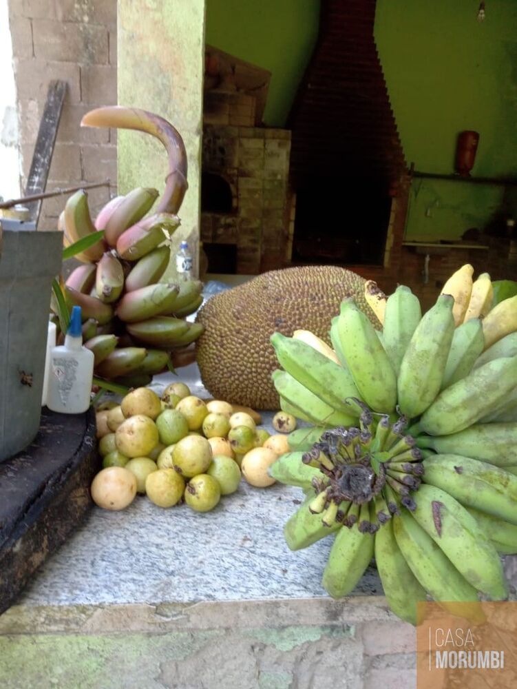 Sítio, 2 quartos, 12 hectares - Foto 15