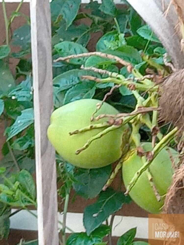 Sítio, 2 quartos, 12 hectares - Foto 25