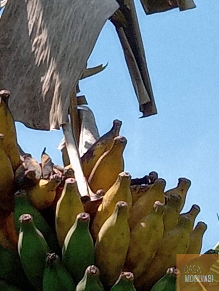 Sítio, 2 quartos, 12 hectares - Foto 28