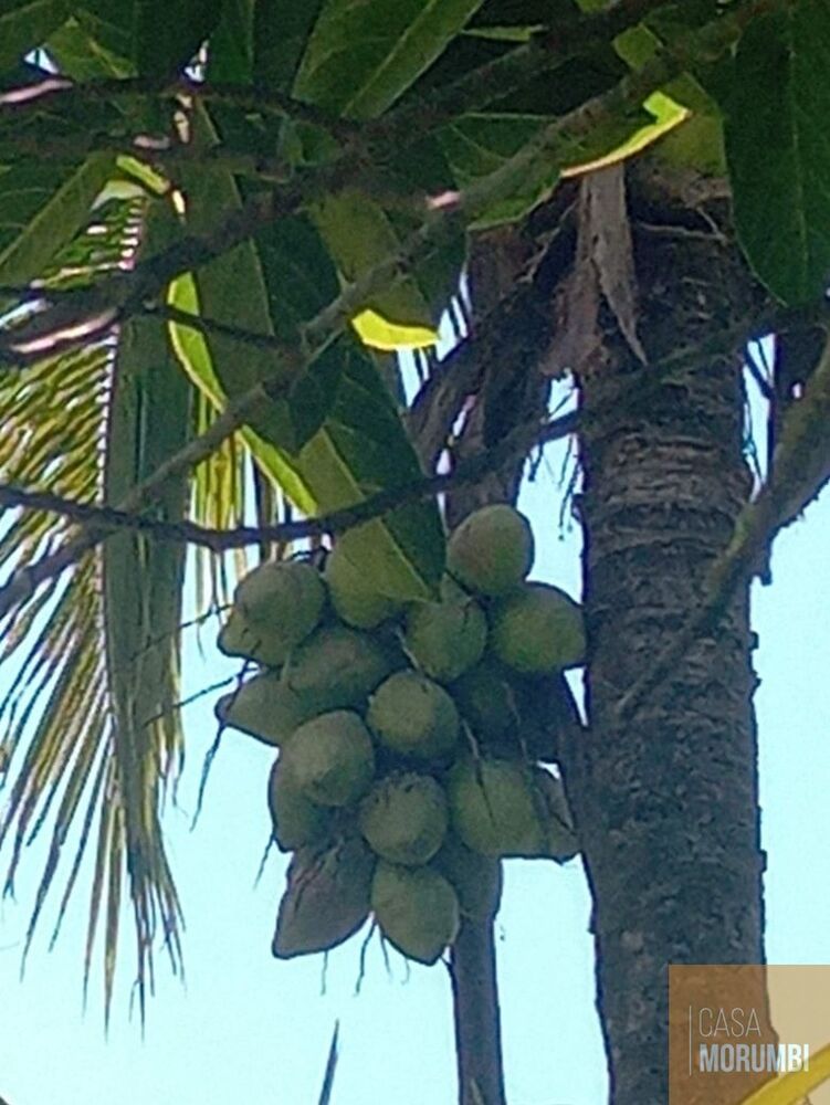 Sítio, 2 quartos, 12 hectares - Foto 14