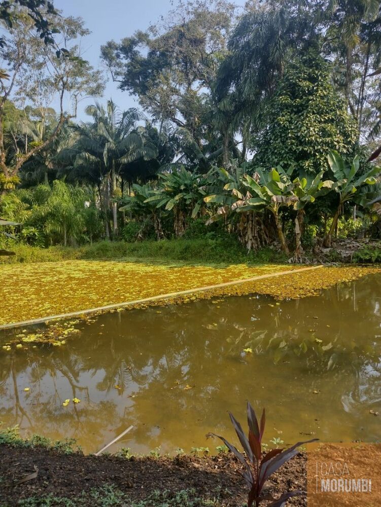 Sítio, 2 quartos, 12 hectares - Foto 3