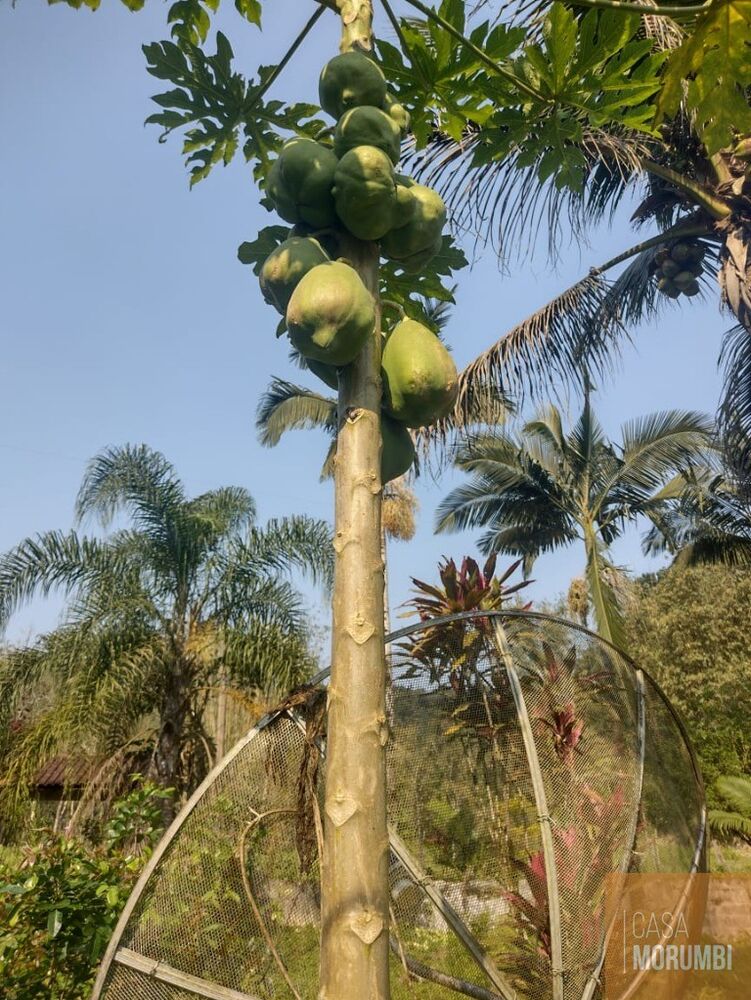 Sítio, 2 quartos, 12 hectares - Foto 4