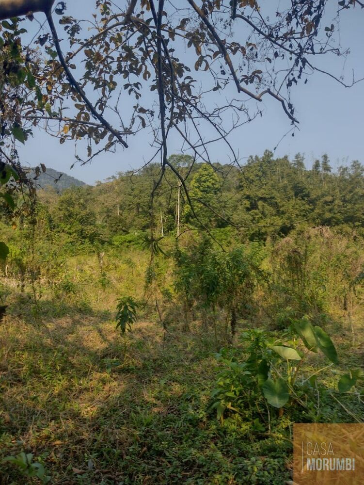 Sítio, 2 quartos, 12 hectares - Foto 2