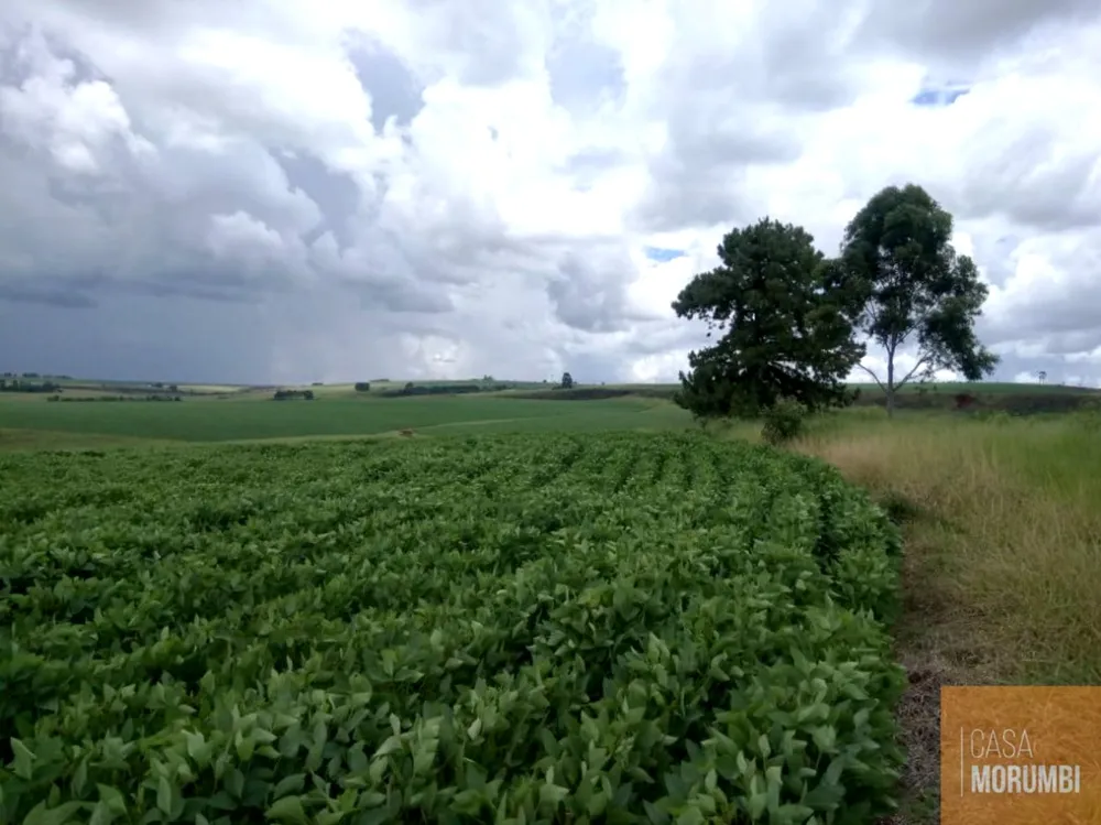 Fazenda, 483 m² - Foto 6