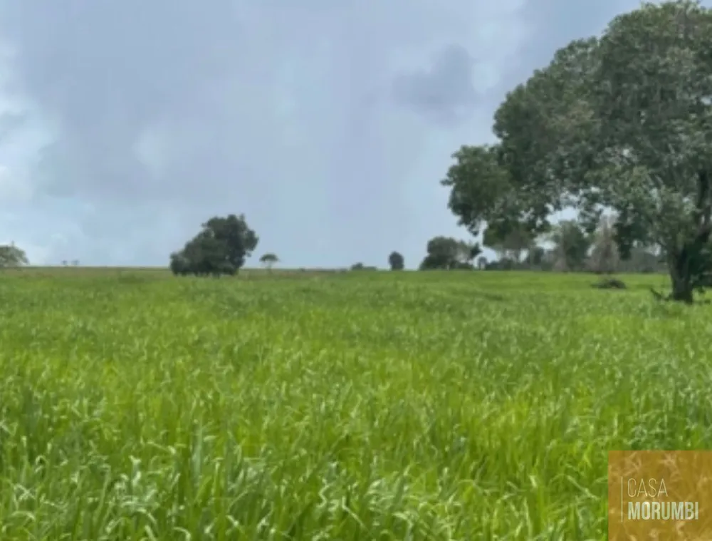 Fazenda, 3653 m² - Foto 4