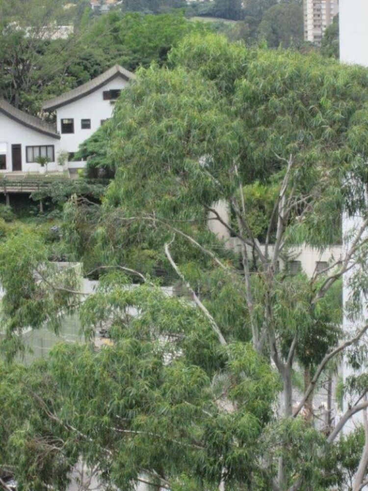 Apartamento, 3 quartos, 137 m² - Foto 2