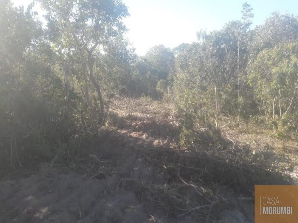 Fazenda, 2200 hectares - Foto 3