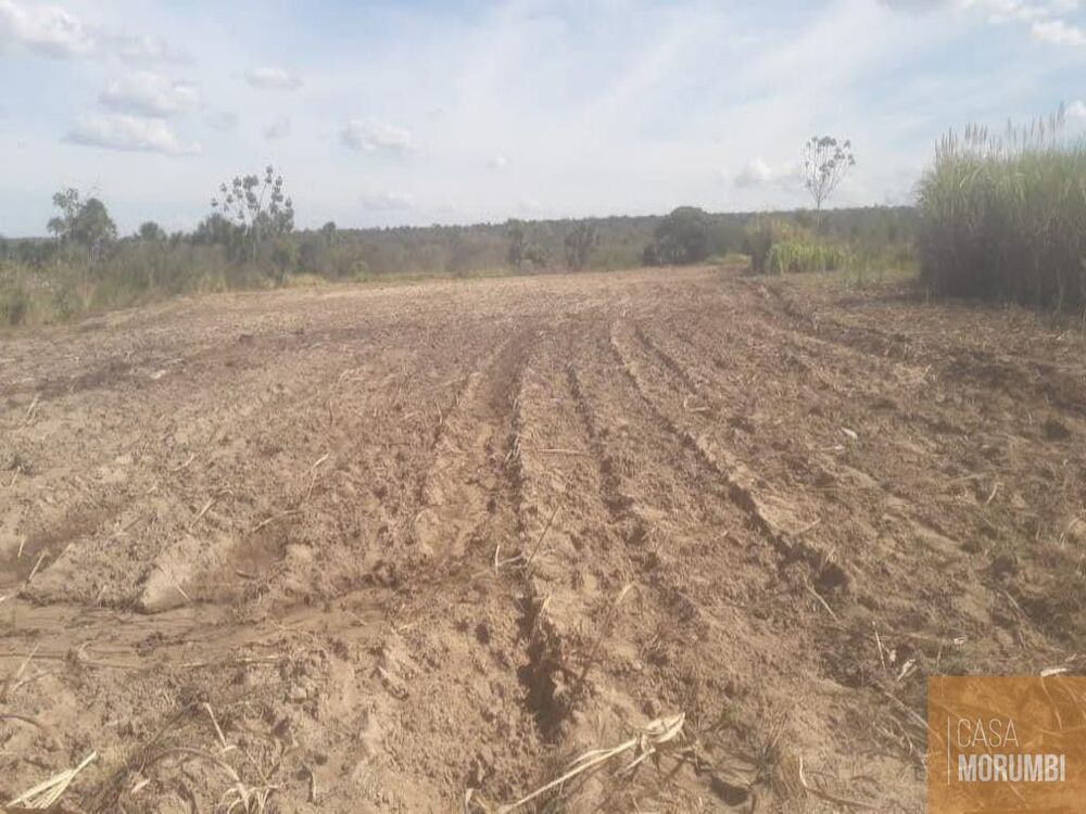Fazenda, 2200 hectares - Foto 1