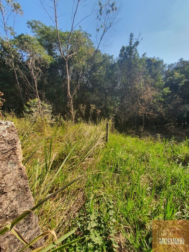 Terreno, 1582 m² - Foto 4