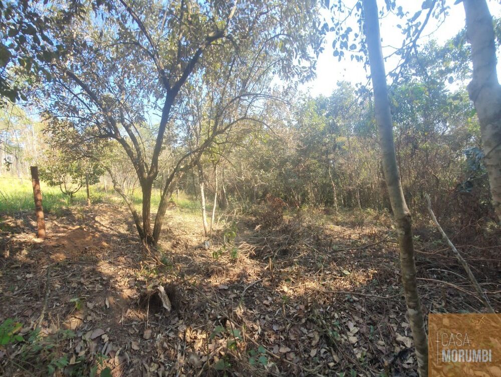 Terreno, 1582 m² - Foto 5