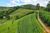 Fazenda-Sítio-Chácara, 110 m² - Foto 3