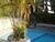 Casa, 4 quartos, 793 m² - Foto 6