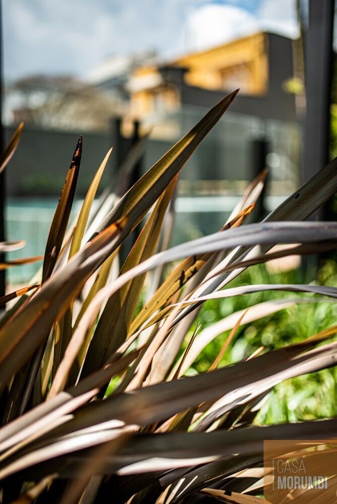 Sala-Conjunto, 100 m² - Foto 3