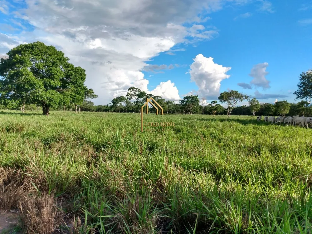 Fazenda, 100 hectares - Foto 4