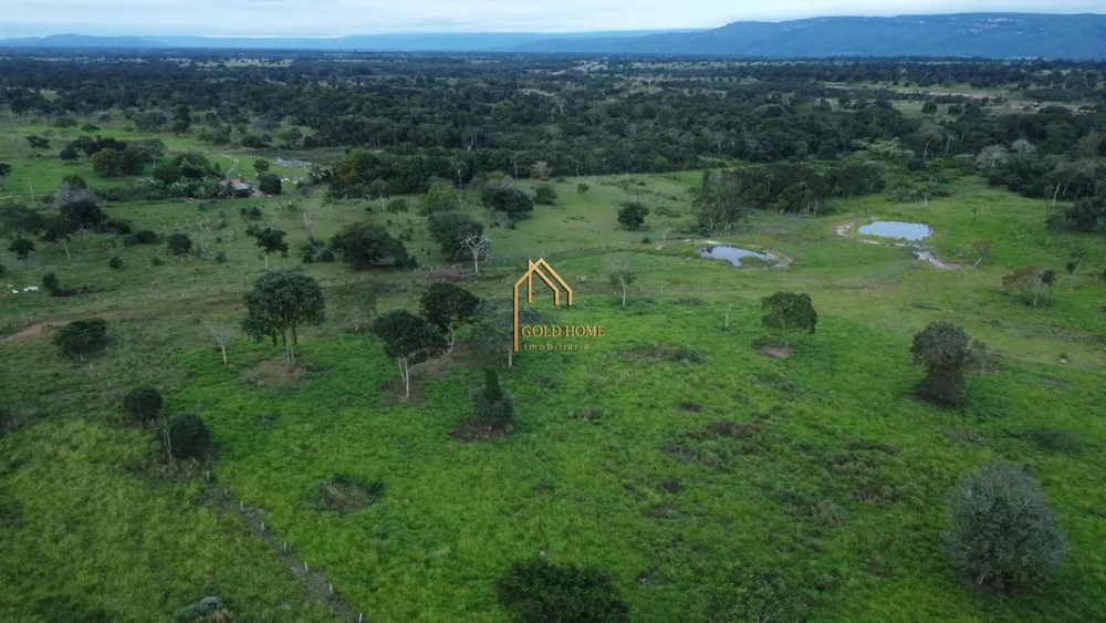 Fazenda, 113 hectares - Foto 1