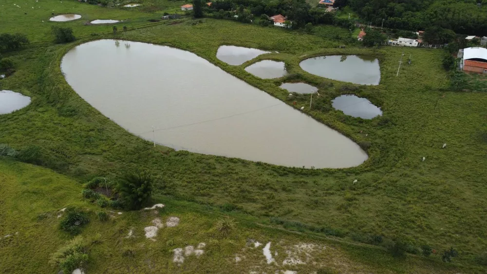 Terreno para alugar, 60000m² - Foto 4