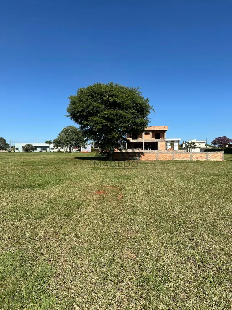 Terreno, 1003 m² - Foto 6