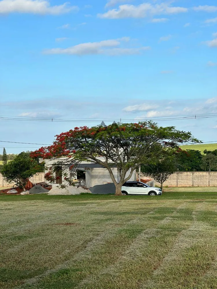 Terreno, 1003 m² - Foto 5