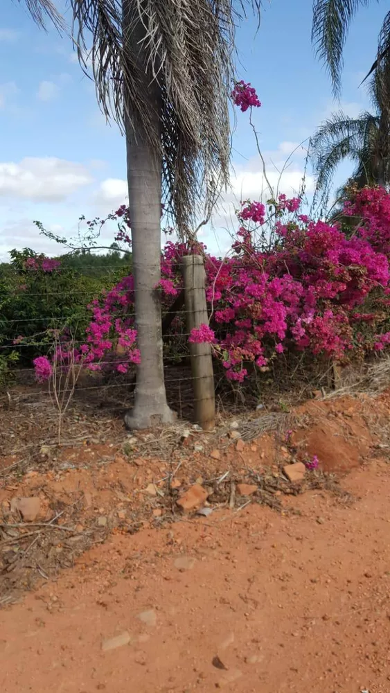 Fazenda à venda com 2 quartos, 12000m² - Foto 3