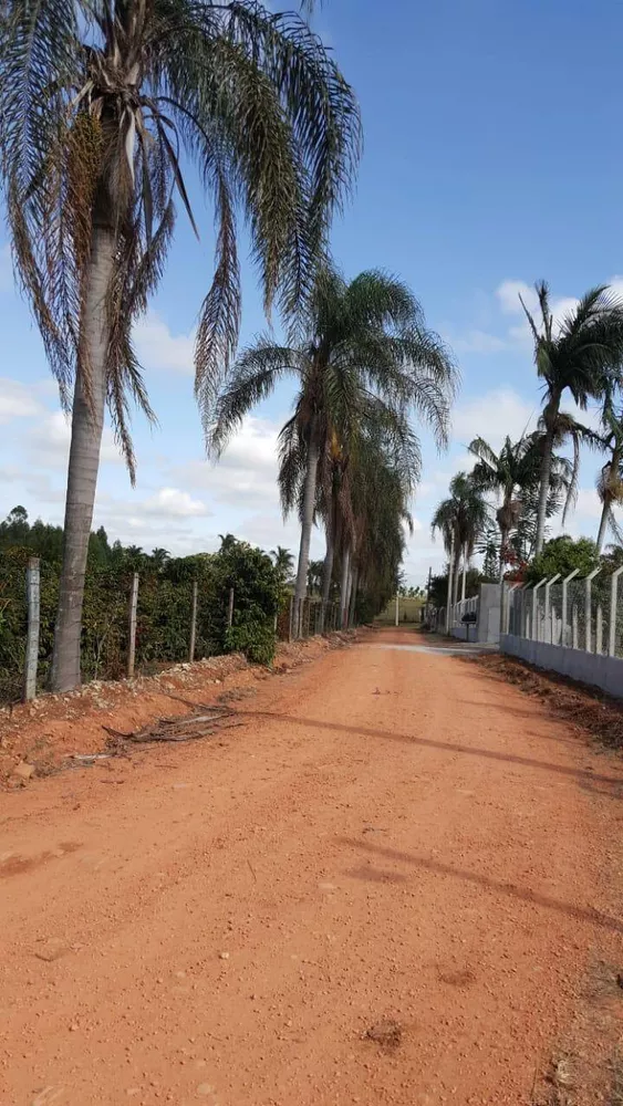 Fazenda à venda com 2 quartos, 12000m² - Foto 2