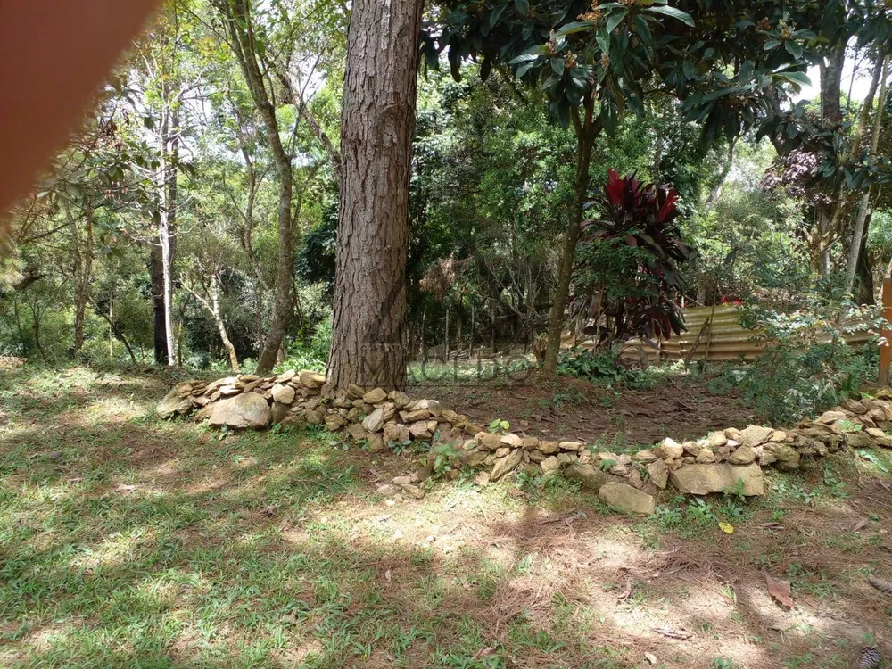 Terreno, 1000 m² - Foto 6