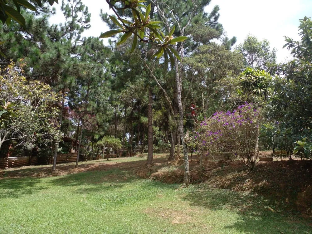 Terreno, 1000 m² - Foto 4