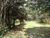 Terreno, 1000 m² - Foto 1