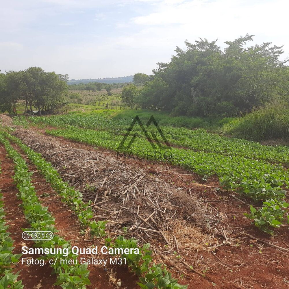 Terreno, 3170 m² - Foto 7