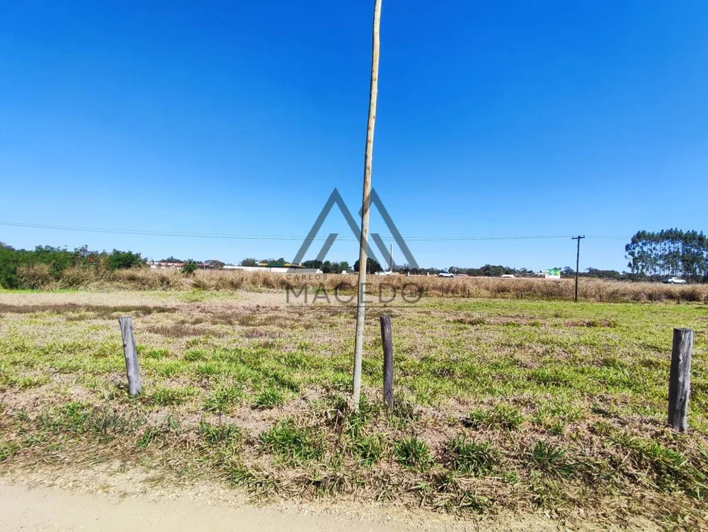 Terreno, 5000 m² - Foto 6