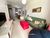 Apartamento, 3 quartos, 84 m² - Foto 5