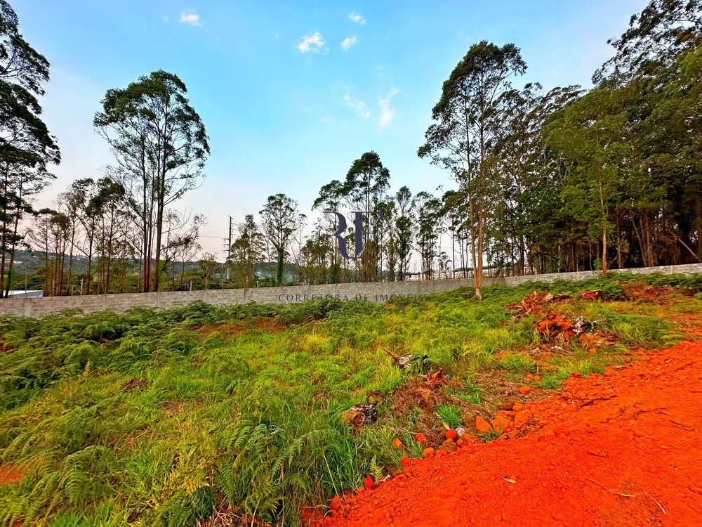 Terreno, 1412 m² - Foto 6