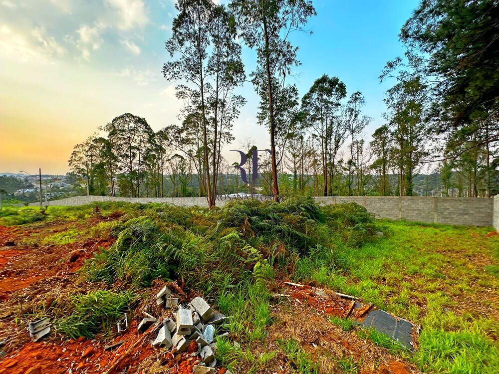 Terreno, 1412 m² - Foto 4