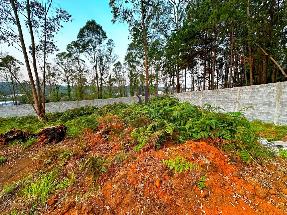 Terreno, 1412 m² - Foto 6