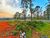 Terreno, 1412 m² - Foto 3