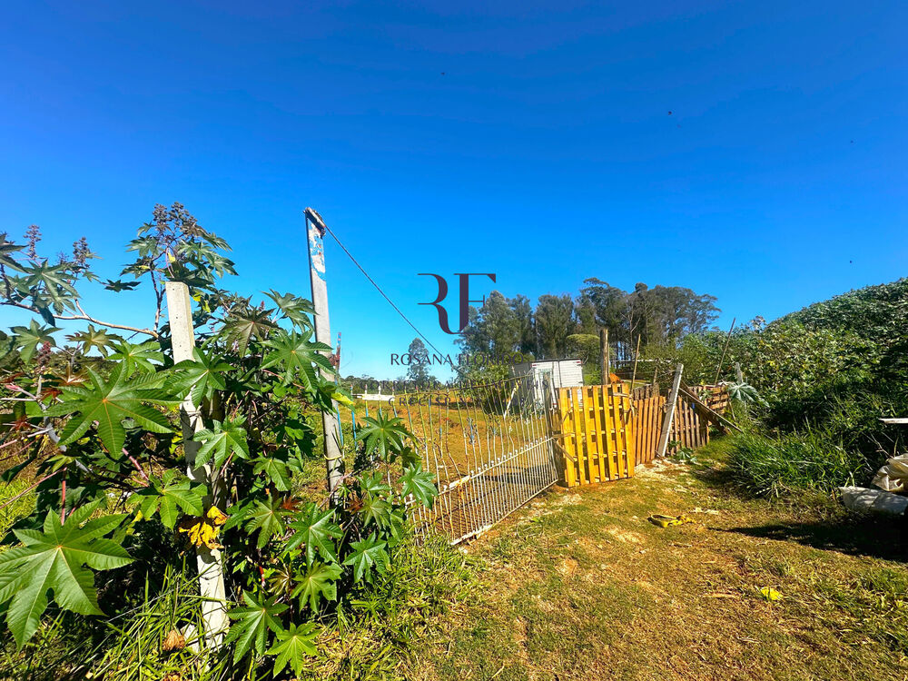Terreno à venda, 4000m² - Foto 4