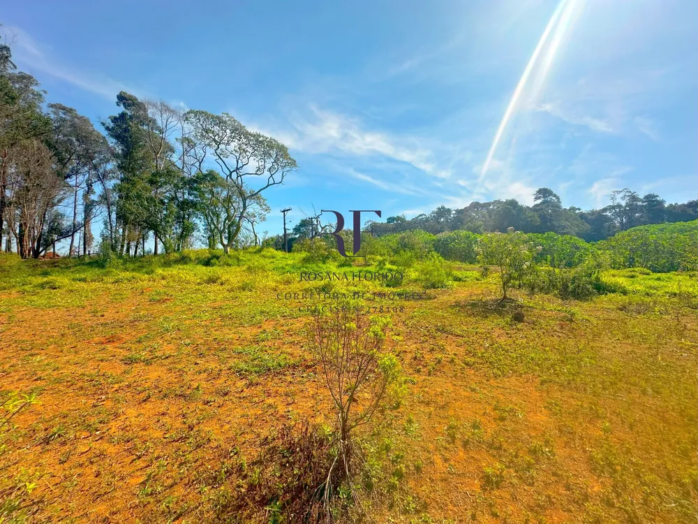 Terreno, 4000 m² - Foto 17