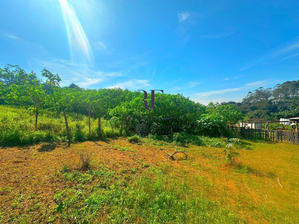 Terreno à venda, 4000m² - Foto 6