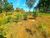 Terreno, 4000 m² - Foto 7