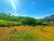 Terreno, 4000 m² - Foto 6