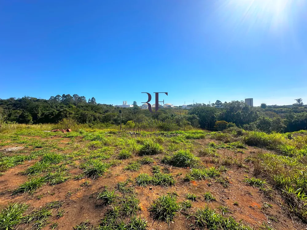 Terreno, 9 hectares - Foto 4