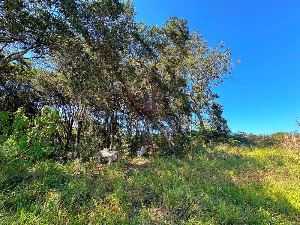 Terreno, 9 hectares - Foto 10