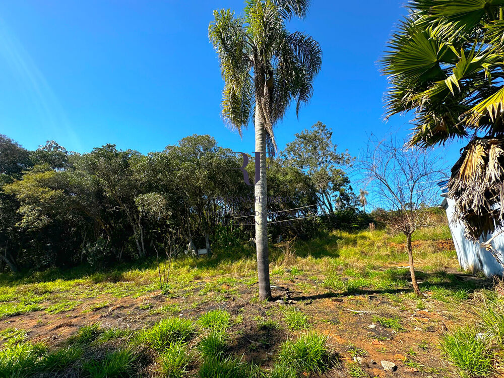 Terreno, 9 hectares - Foto 6