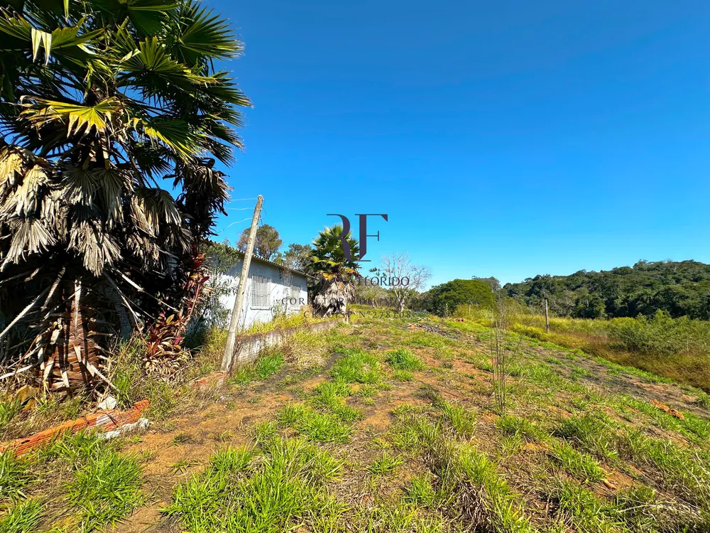 Terreno, 9 hectares - Foto 9