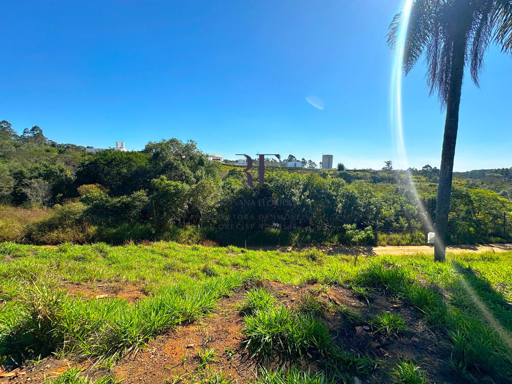 Terreno, 9 hectares - Foto 8
