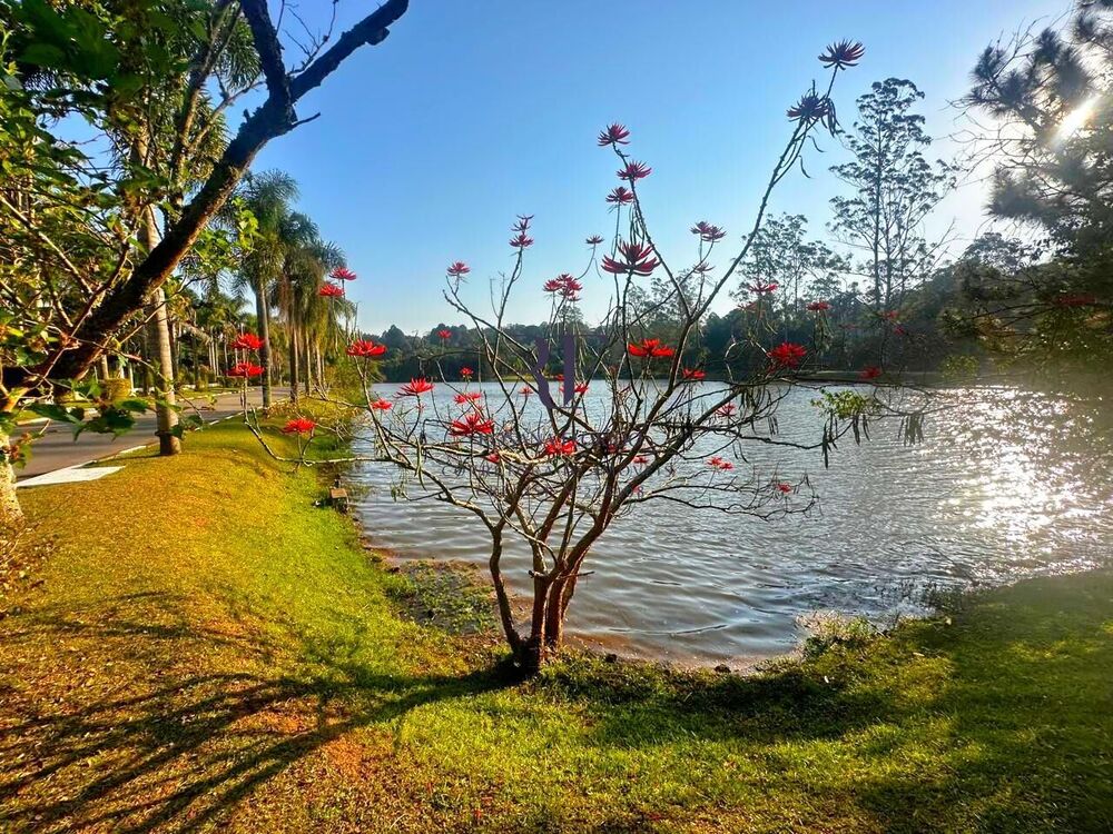 Casa de Condomínio, 3 quartos - Foto 11