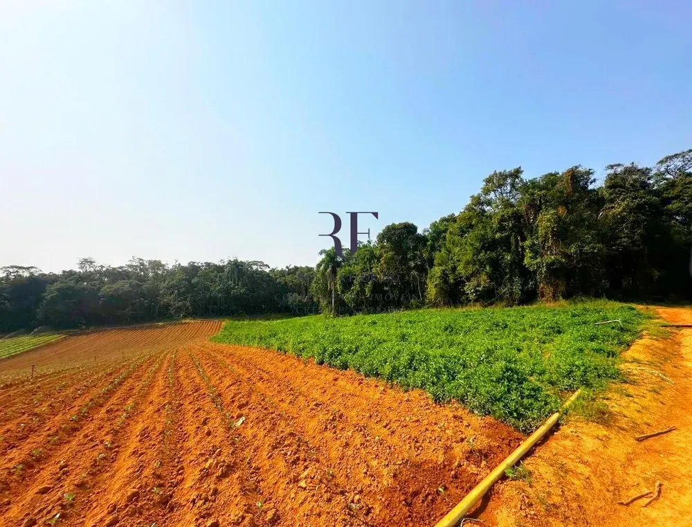 Terreno, 19 hectares - Foto 10