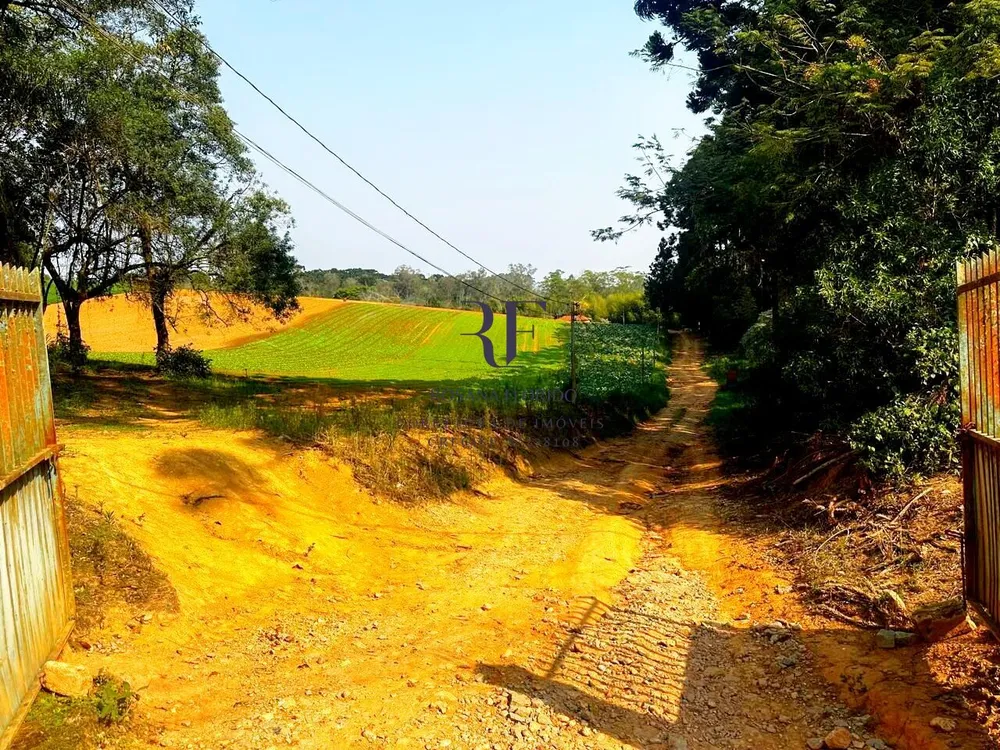 Terreno, 19 hectares - Foto 3