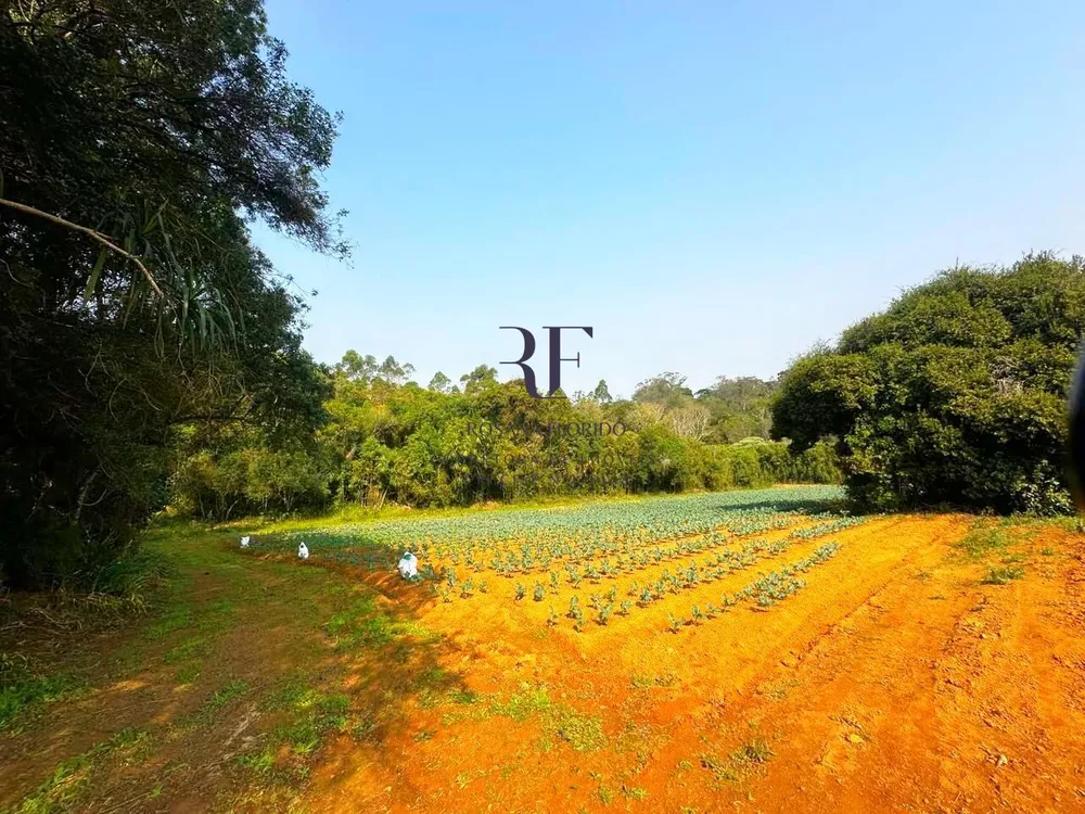 Terreno, 19 hectares - Foto 10