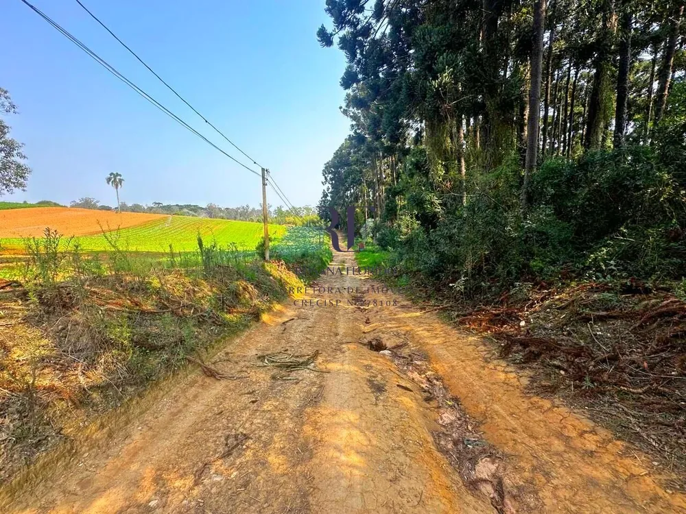 Terreno, 19 hectares - Foto 6